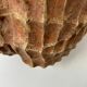 Pair of vintage terracotta shell wall lights
