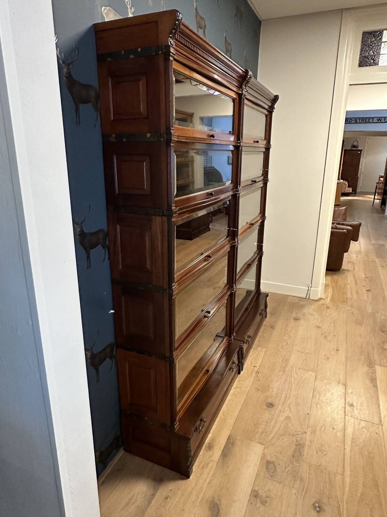 Special Globe Wernicke Bookcase