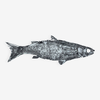 Fish print, original mullet gyotaku