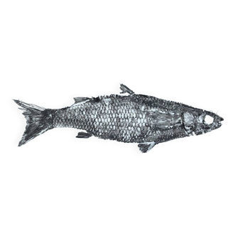 Fish print, original mullet gyotaku