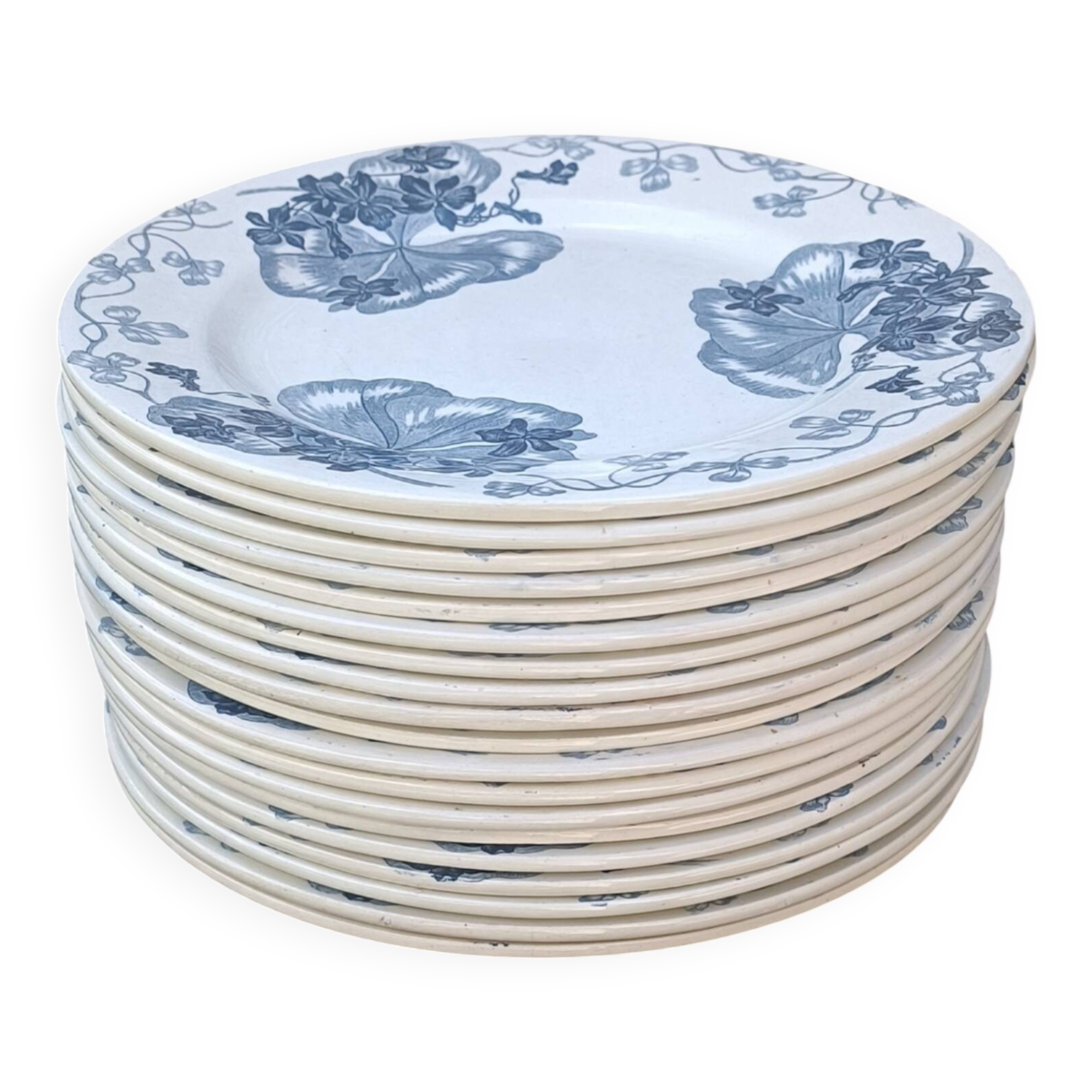 Assiette terre de fer Salins