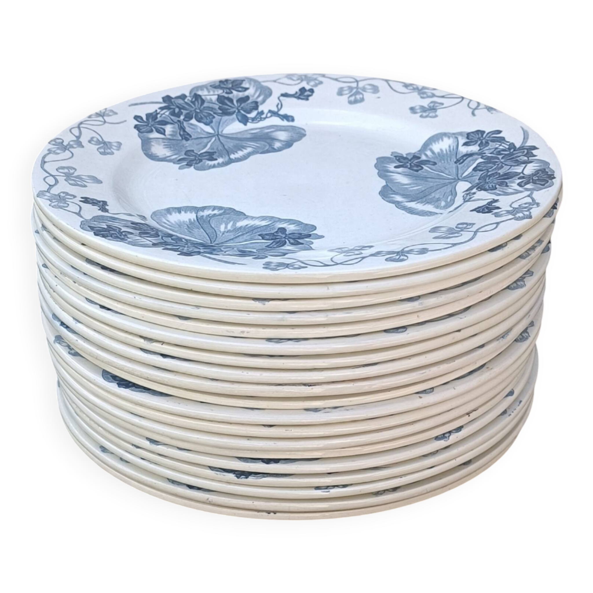 Iron earth plate Salins