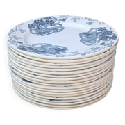 Iron earth plate Salins