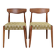 Dining chair set of 2 fiore green