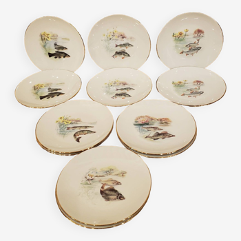 12 assiettes motifs poisson en porcelaine de Limoges