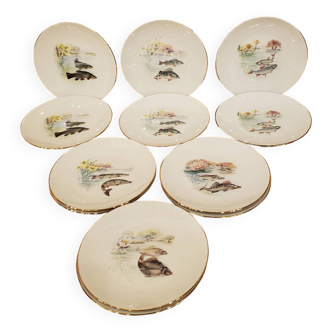 12 assiettes motifs poisson en porcelaine de Limoges