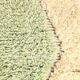 Green handmade decorative rug size 150 x 150 cm