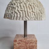 Ancient coral "brain" Diploria labyrinthiformis on base, 19 cm