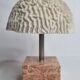 Ancient coral "brain" Diploria labyrinthiformis on base, 19 cm