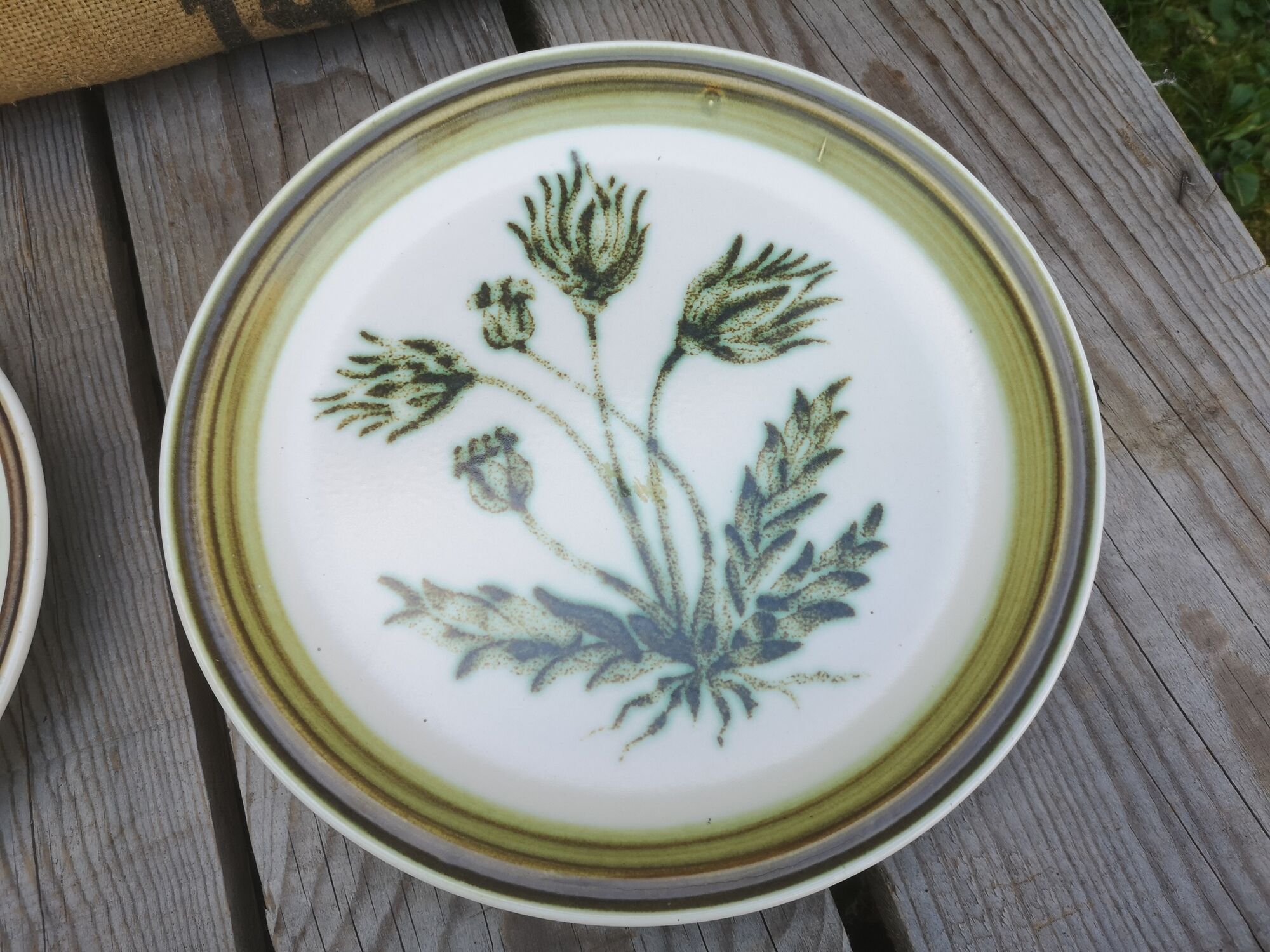 Lot of 4 mismatched plates herbarium vegetable decoration
