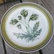 Lot of 4 mismatched plates herbarium vegetable decoration