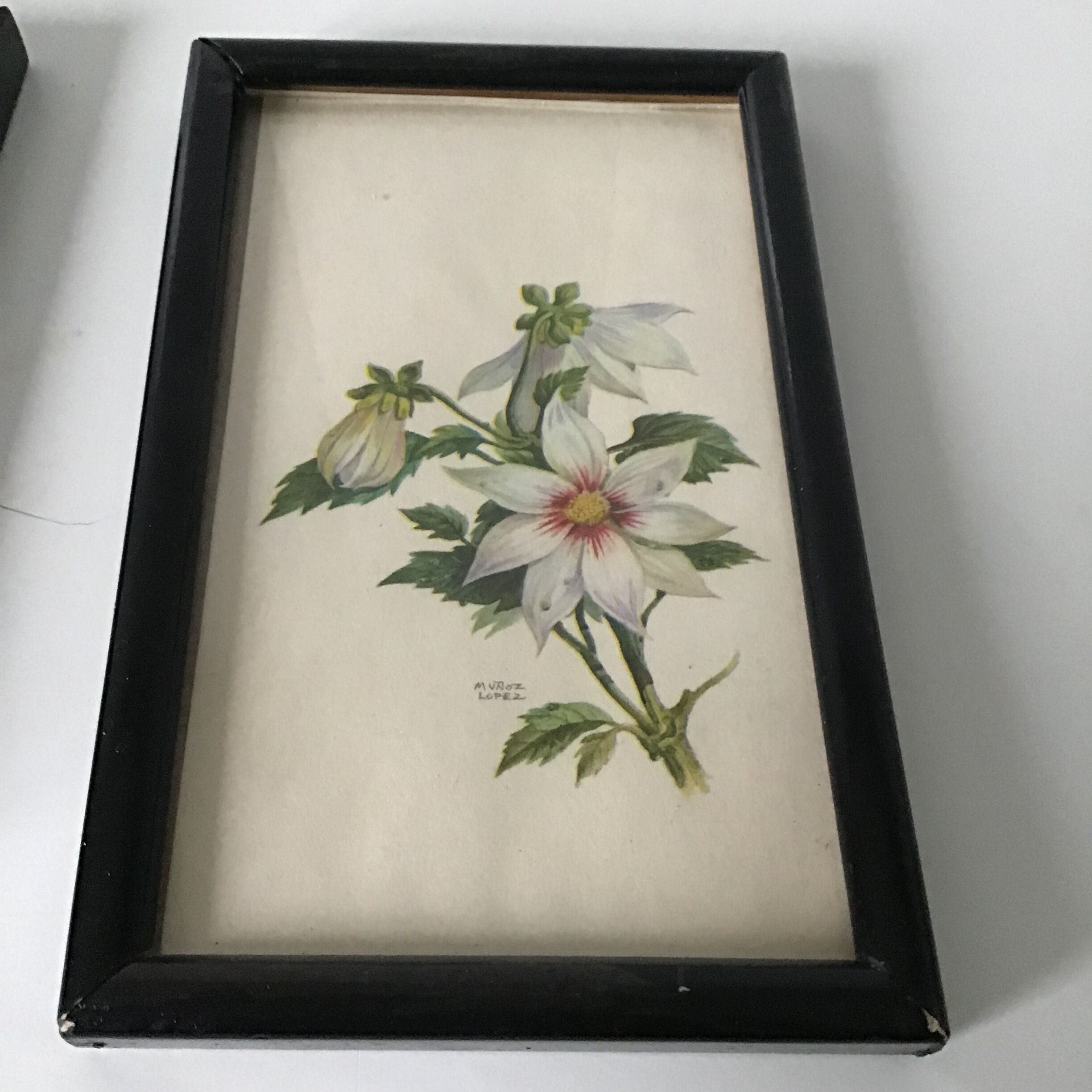 Series of small black wooden frames with an antique engraving signed with fleus. Champetres