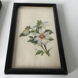 Series of small black wooden frames with an antique engraving signed with fleus. Champetres