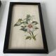 Series of small black wooden frames with an antique engraving signed with fleus. Champetres