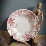 Quartet plates Campanula