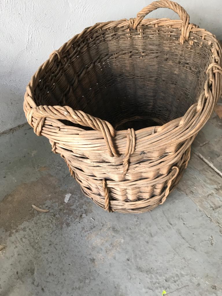 Harvest basket