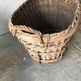 Harvest basket