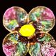 Vintage Vallauris A.M. plate – quadrilobed enamelled bowl with lemon – 50s