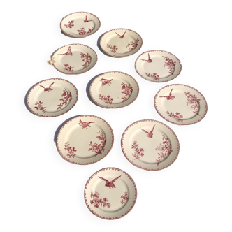 FAVORITE plates of Sarreguemines