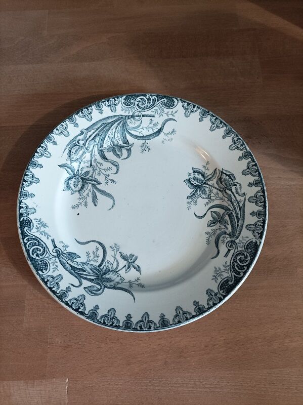 Plate Plate iron earth Iris