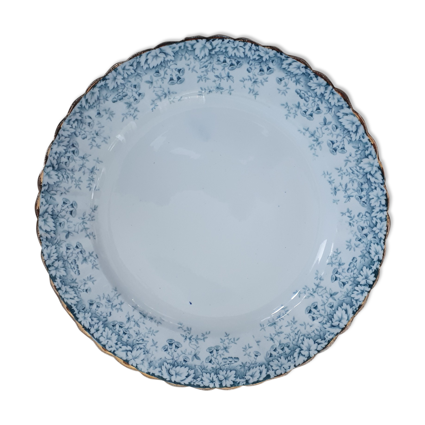 Julie Maestricht Plate