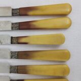 12 Art Deco Bakelite handle knives