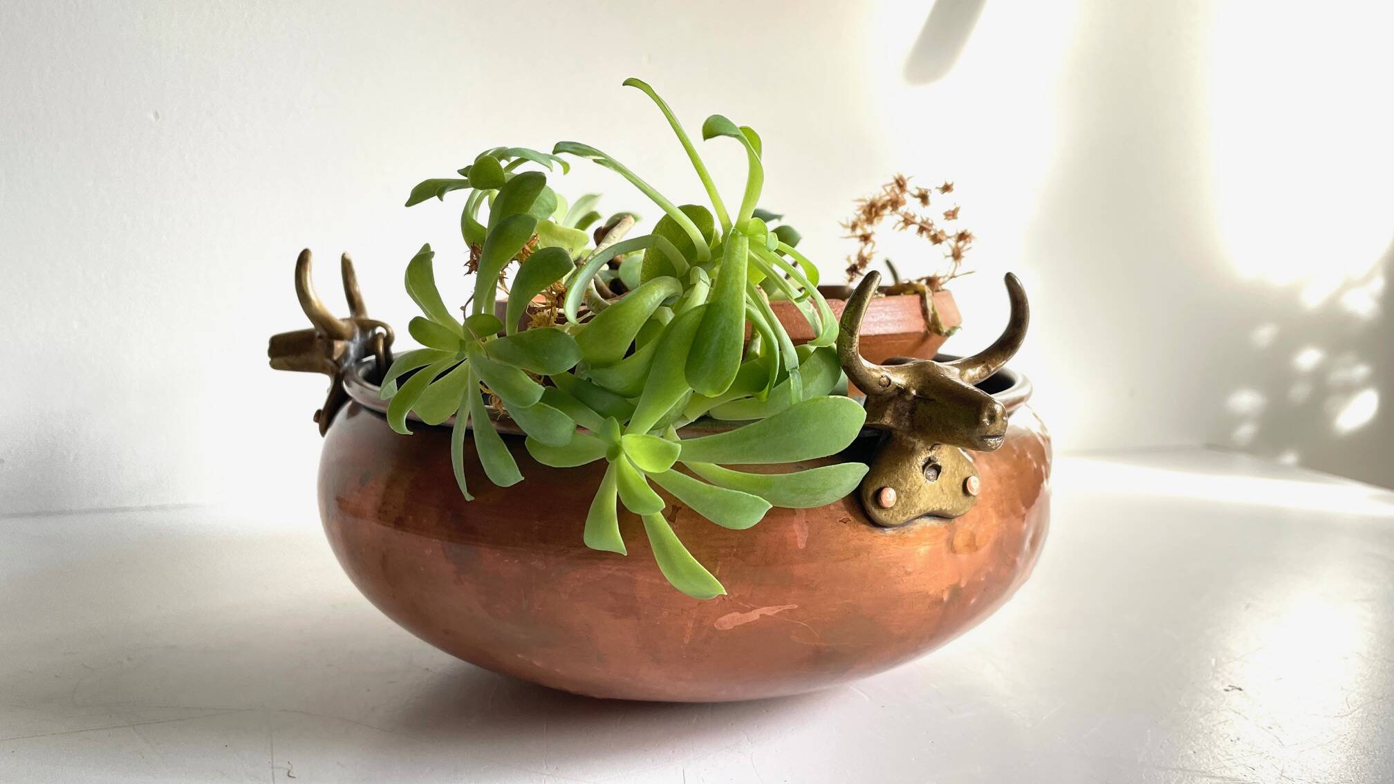 Vintage 3 buffalo hanging planter