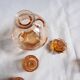 Rosaline carafe liqueur service and 12 glasses salmon pink