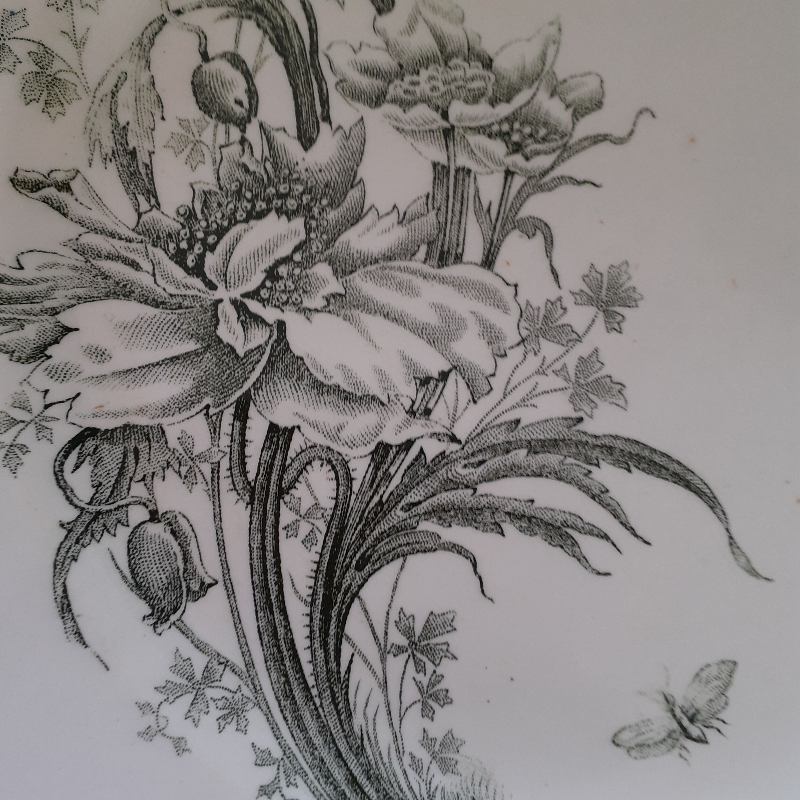 Lot of 6 plates faïence Terre de feu LG Nancy