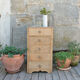 Rag-picker wood raw