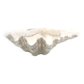 Natural white shell dish, 1970s.