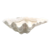 Natural white shell dish, 1970s.