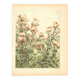 Art Nouveau Engraving 1896 - Wild Thistles - by G. Fraipont - Botany