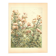 Art Nouveau Engraving 1896 - Wild Thistles - by G. Fraipont - Botany