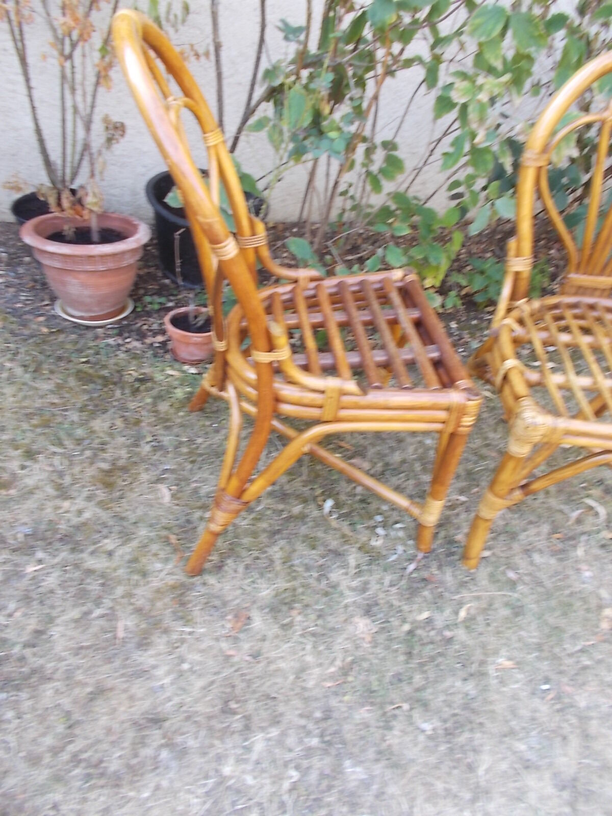 Rattan chairs