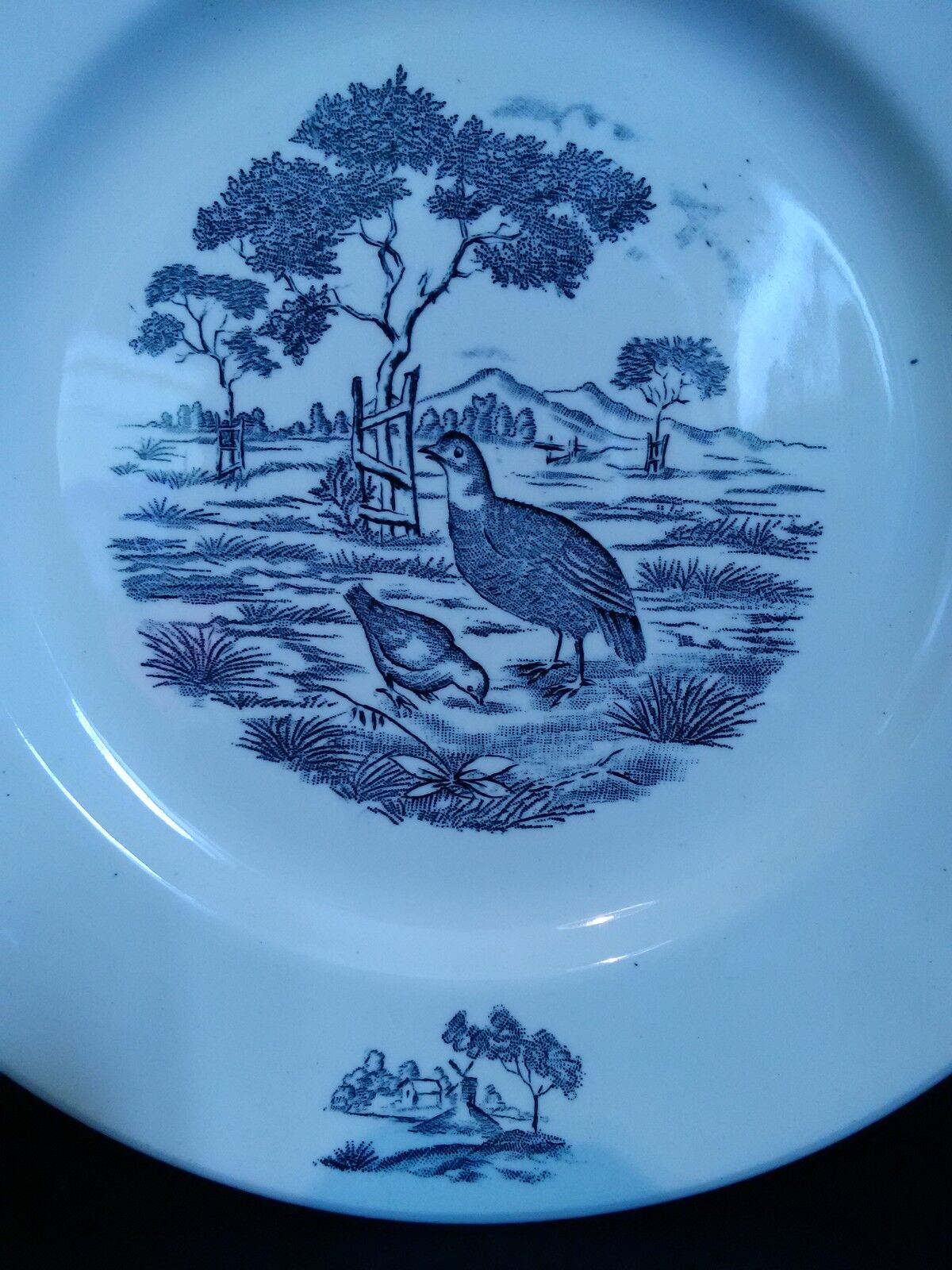 Longchamp earthenware plate burgundy décor