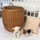 Laundry basket / toys