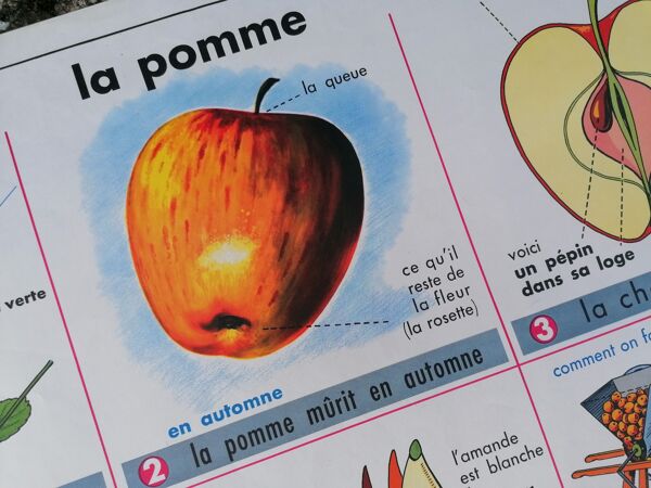 Ancienne affiche MDI ''Les feuilles-La pomme''.