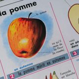 Old MDI poster "The leaves-The apple".
