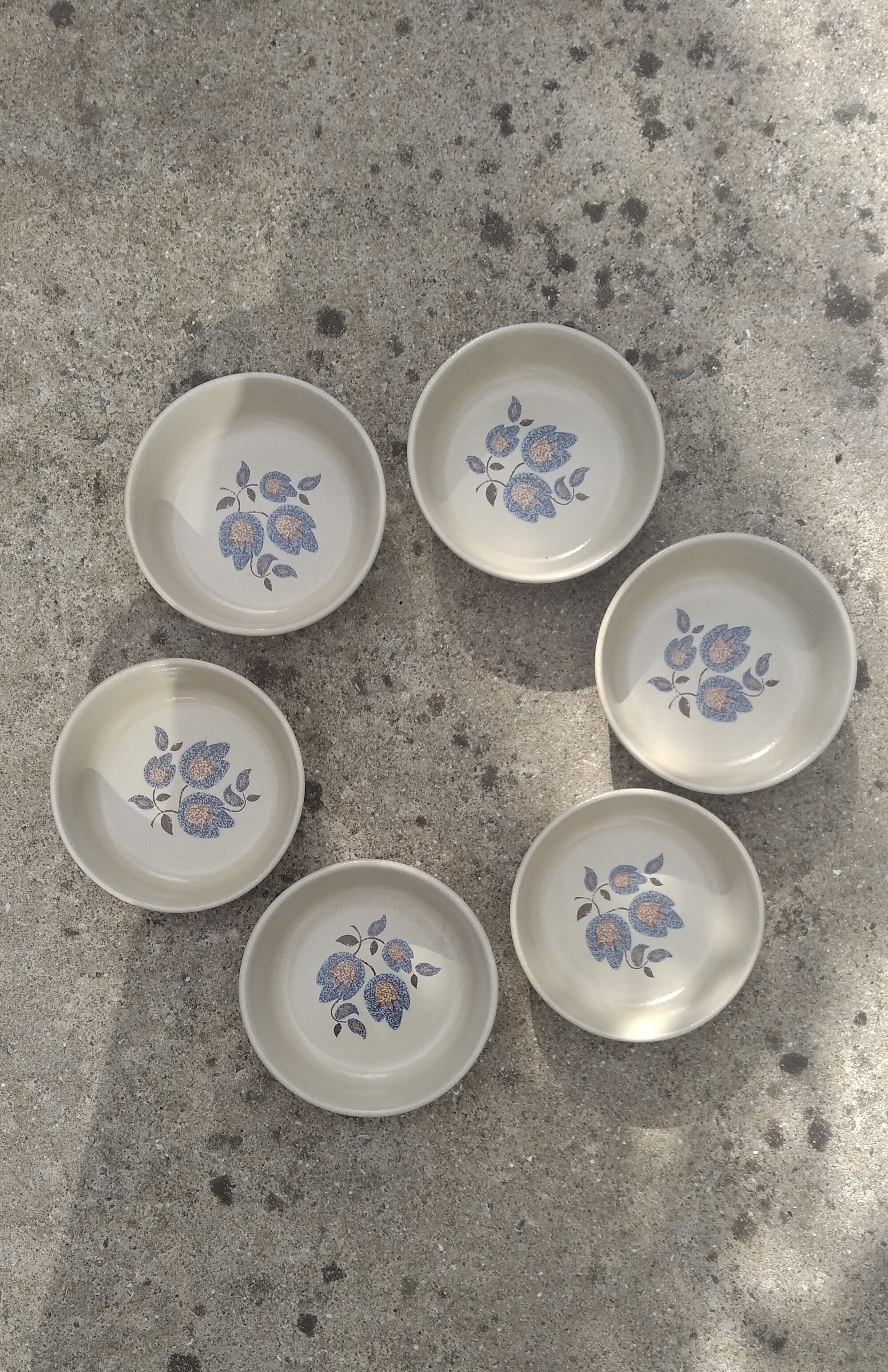 6 hollow plates Faïence St Amand "Sologne"