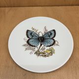 Hasler butterfly wall plate