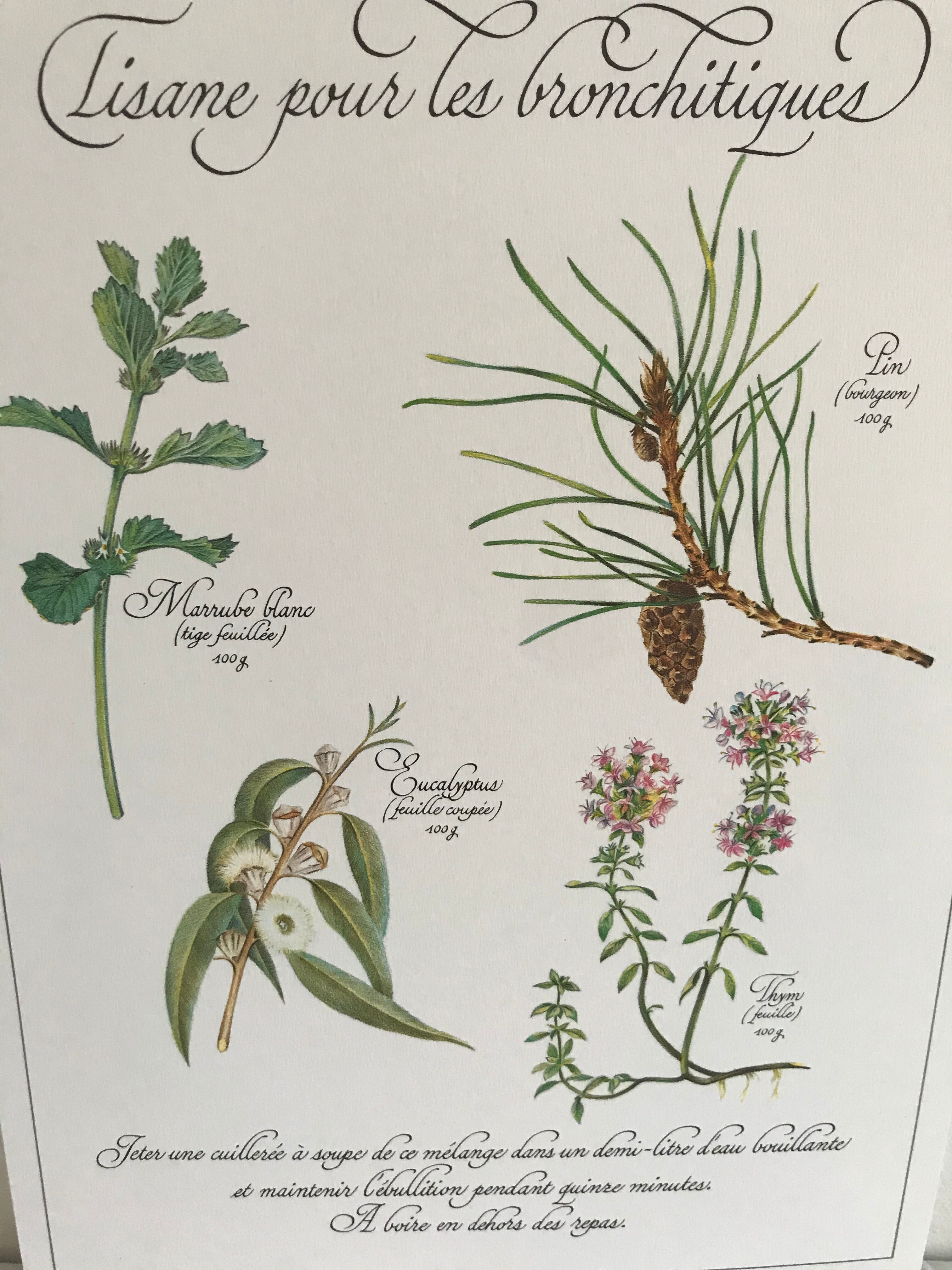 Vintage botanical board