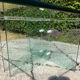 Low table design in tempered glass