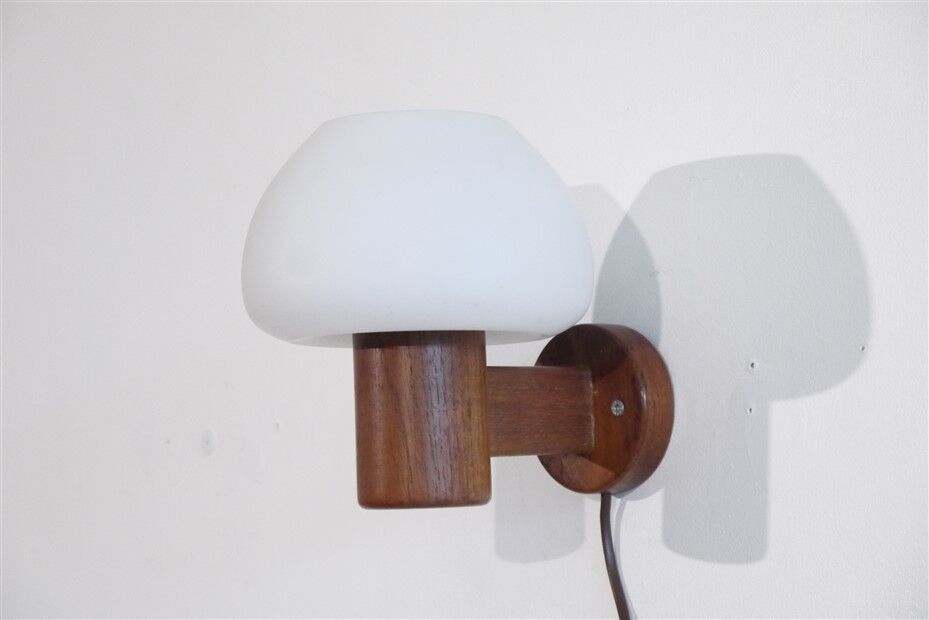 Vintage Danish wall lamp in teak and opaline 1960