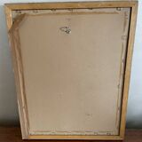 Frame Botanical illustration Dreaded rose of the Indies