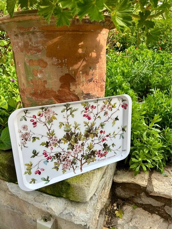 Plateau Villeroy and Boch Botanic