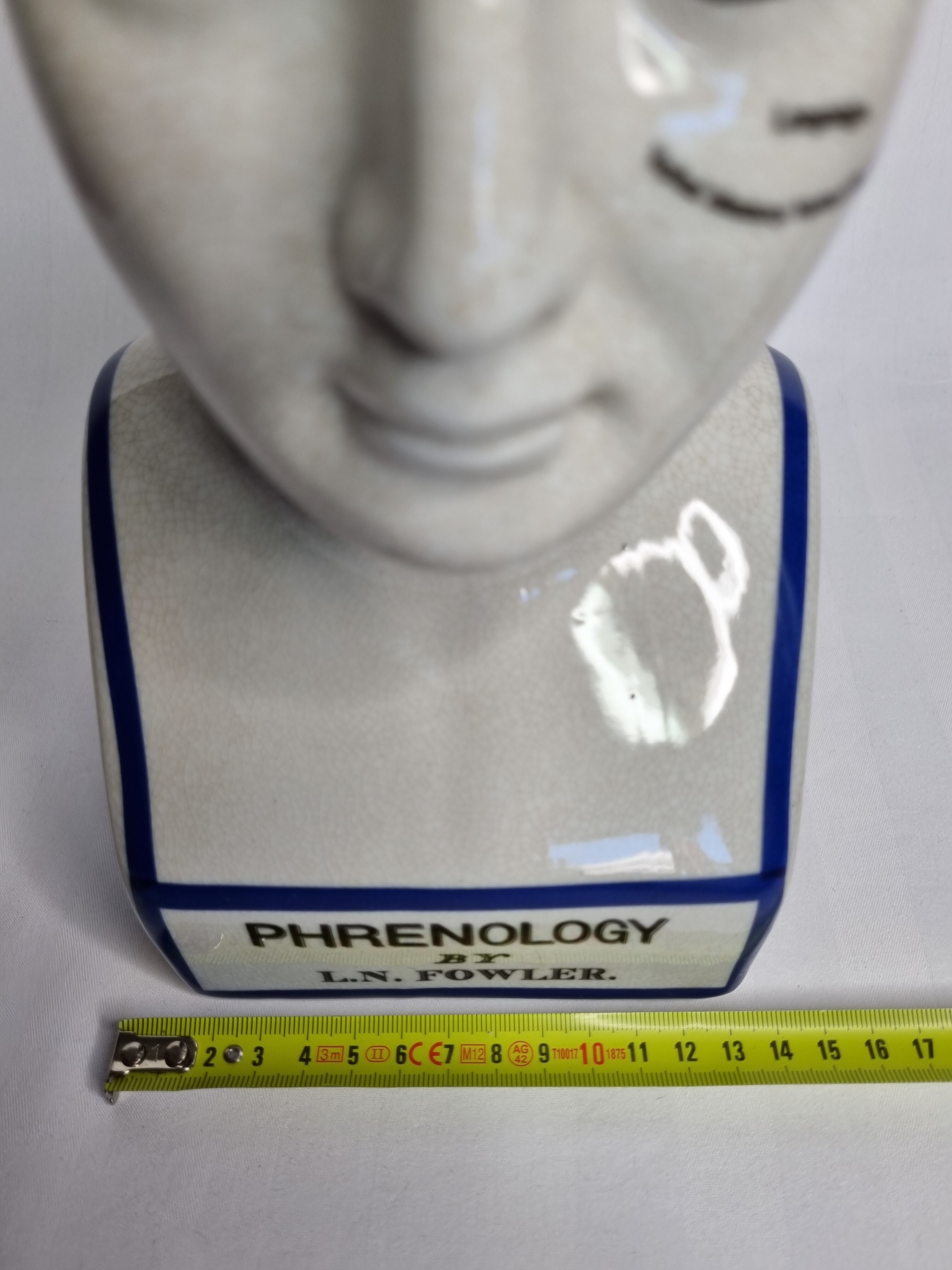 Phrenology bust after d'après L.N. Fowler