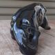Black Lion In earthenware