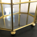 Glass and brass showcase