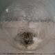 Ceiling lamp wall globe bubble glass Ø 20 cm Vintage 1950
